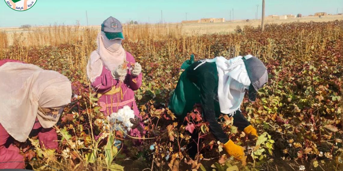 عدسة الوطن – الحسكة – الهول