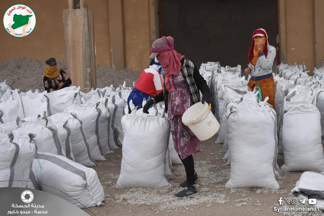 عدسة الوطن – الحسكة