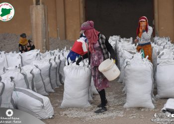 عدسة الوطن – الحسكة