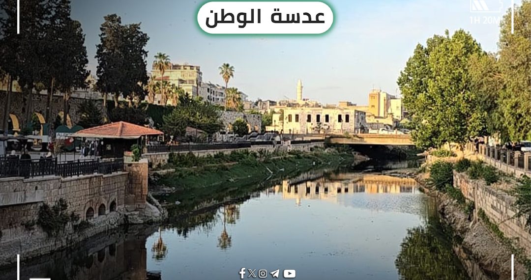 عدسة الوطن – حماة