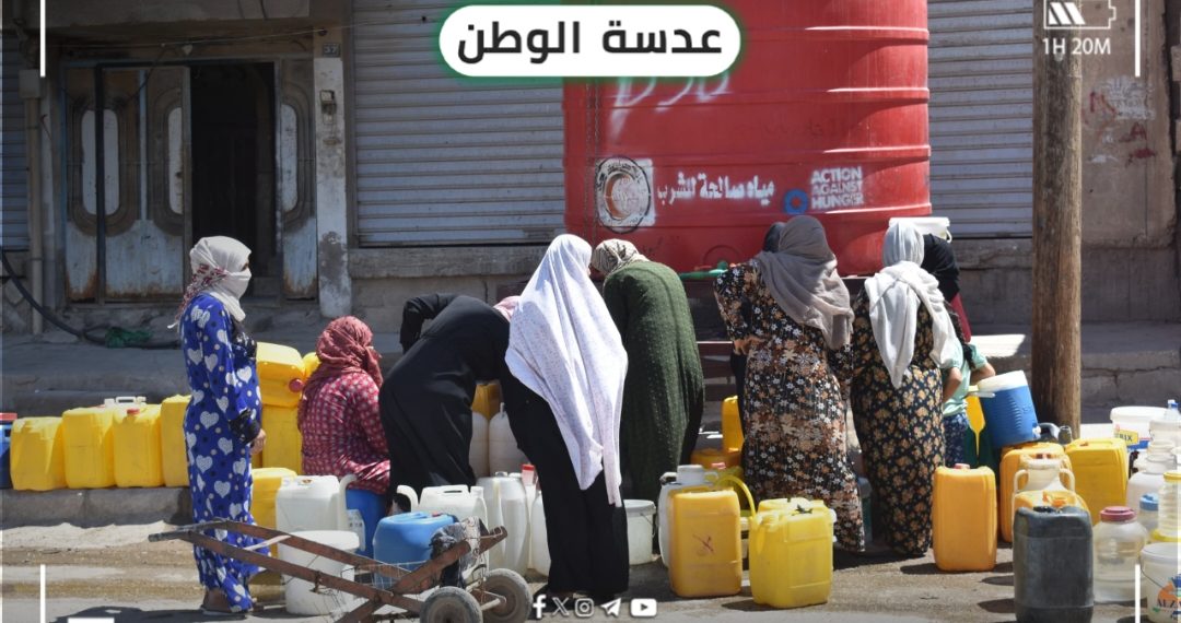 عدسة الوطن – الحسكة