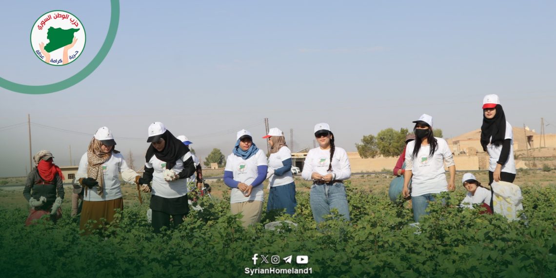 نساء الوطن في حقول قطاف القطن دعماً للمرأة الريفية