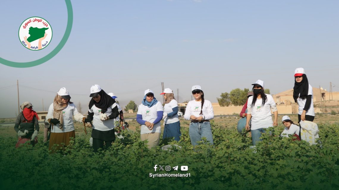 نساء الوطن في حقول قطاف القطن دعماً للمرأة الريفية