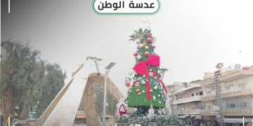 عدسة الوطن – الحسكة